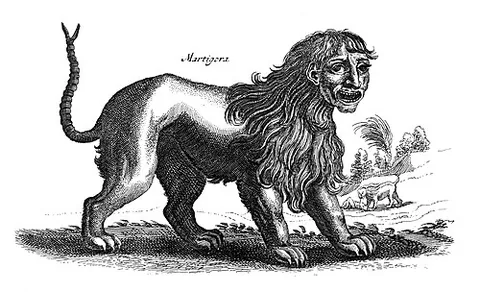 manticore: a beast with the body of a lion (usually red), the tail of a scorpion, and the head/face of a man...
