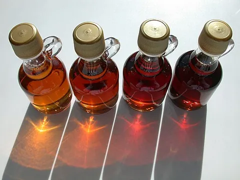 maple syrup: syrup made from the sap of the sugar maple, Acer saccharum