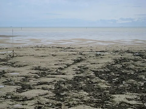 maplin sands: an expanse of mudflats on the North Sea coast of south-east Essex, England, uncovered at low tide