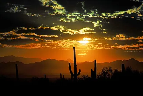 marana: a town in Pima County and Pinal County, Arizona, United States