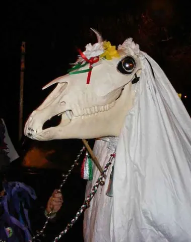 mari lwyd: a Welsh winter holiday custom involving wassailing with a horse's skull carried by a person hidden...