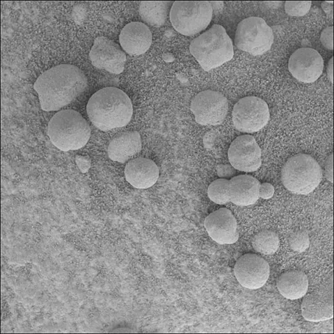 martian blueberry: martian spherule