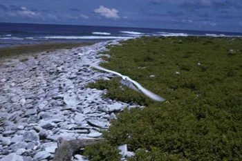 mckean island: under 1 sq km, uninhabited atoll in the Phoenix Islands, Republic of Kiribati