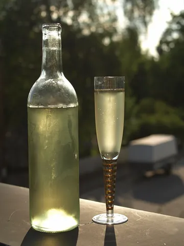 mead: an alcoholic drink fermented from honey and water