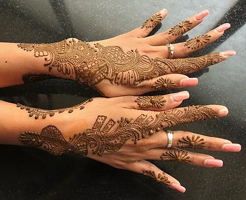 mehndi: a henna plant (Lawsonia inermis)