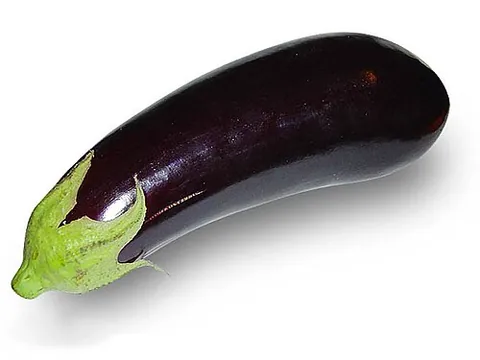 melongene: an aubergine; an eggplant