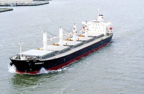 merchant ship: a ship that is principally or (usually) entirely civilian, engaged in trade, which carries cargo,...
