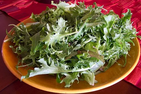 mesclun: a mixture of small, young leaves as a salad