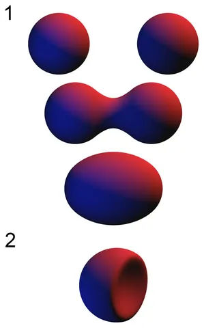 metaball: an n-dimensional object with an organic appearance, characterised by the ability to meld into...