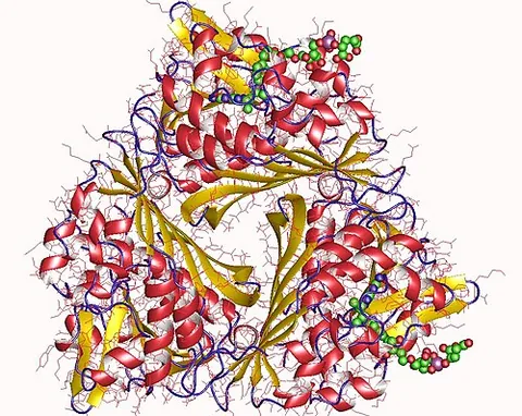 methenyltetrahydromethanopterin cyclohydrolase: an enzyme found in methanogenic microorganisms that catalyzes the conversion of...