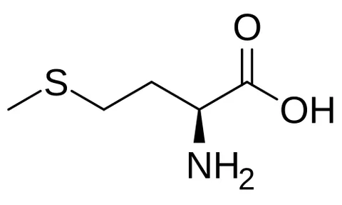 methionine: a sulphur-containing amino acid, C₅H₁₁NO₂S, in L- and D-forms