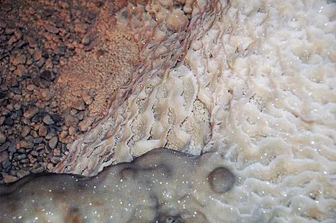 microgour: a very small gour or dam formed by mineral deposits