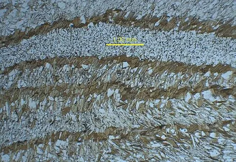 microlithon: a small slab of rock having a earlier texture that lies between spaced foliation planes,