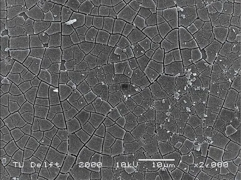 microstructure: the fine structure of a material or tissue as revealed by microscopy