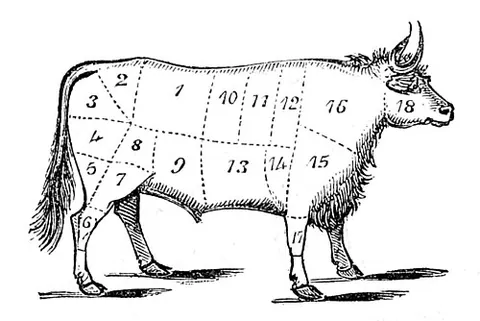 middle rib: a cut of beef between the chuck rib and fore ribs