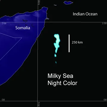 milky sea: a milky or pale blue-green glow in seawater (caused by bioluminescent plankton or bacteria),...