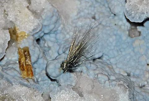 millerite: a nickel sulfide mineral, NiS, that occurs as hairlike tufts