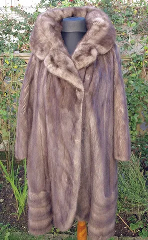 mink coat: a fur coat made from the fur of the mink, symbolic of membership in a social class of wealthy people