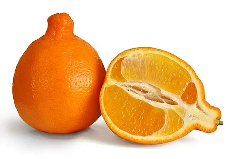 minneola: a cross between a tangerine and a grapefruit