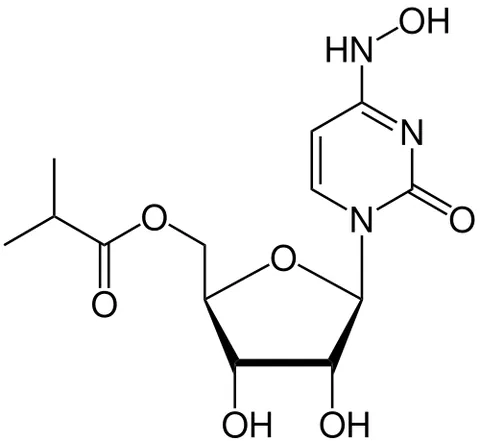 molnupiravir: an antiviral drug developed to treat COVID-19, the first to obtain regulatory approval in the...