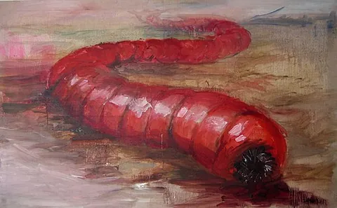 mongolian death worm: a cryptid reported from the Gobi desert, said to be a large bright red worm capable of attacking...