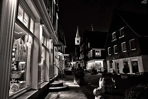 monochrome: a black and white image, especially such a photograph