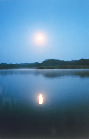 moonlight: the light reflected from the Moon, which seems to emanate from it