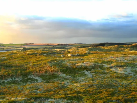 moorland: open land that has an acidic peaty soil and is mostly covered with heather or bracken