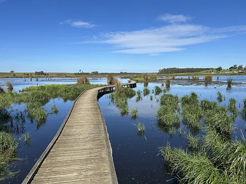 morass: a tract of soft, wet ground; a marsh; a fen