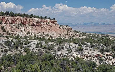 morrison formation: a sequence of Upper Jurassic sedimentary rock in the western United States, noted as the most...