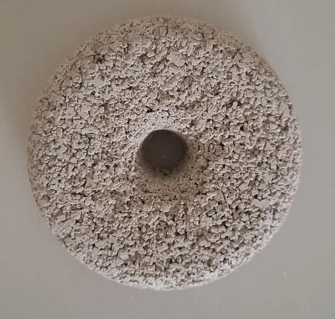 mosquito dunk: a donut-shaped product containing the bacterium Bacillus thuringiensis israelensis, placed in...
