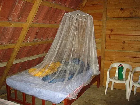 mosquito net: a fine net, placed around a bed, in a window opening, etc., to provide protection against...