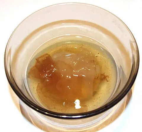 mother of vinegar: the mother (stringy, mucilaginous substance) that develops in, and helps develop, vinegar. When...