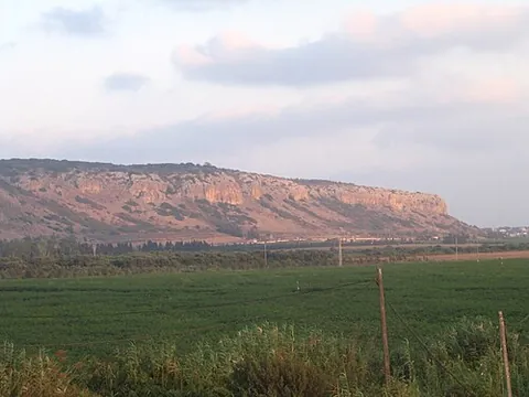 mount carmel: a mountain range in Israel, along the Mediterranean coast