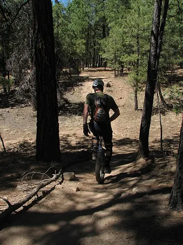 mountain unicycling: off-road unicycling using a mountain unicycle