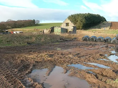 mud: a mixture of water and soil or fine grained sediment