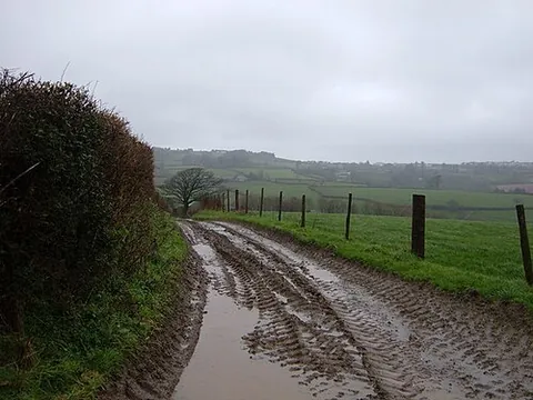muddy: covered or splashed with, or full of, mud (“wet soil”)
