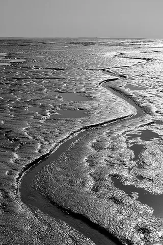 mudflat: a muddy expanse of flat land, especially such land as a riverbed exposed at low tide