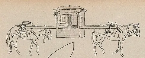mule litter: a litter pulled or borne by one or more mules