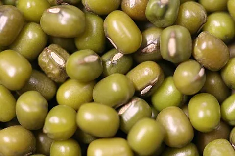 mung bean: seed of Vigna radiata, native to South Asia