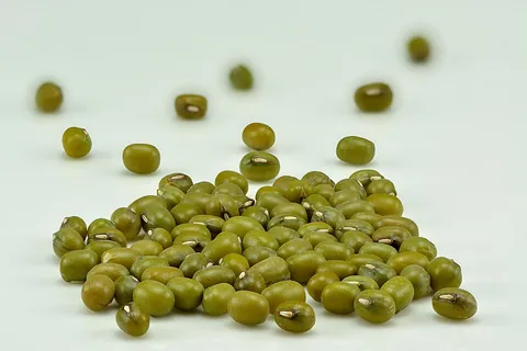 mung: mung bean (Vigna radiata, syn. Phaseolus aureus), cultivated for its sprouts