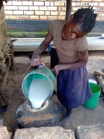 munkoyo: a mildly fermented drink made from pounded roots mixed with bits of maize, popular in rural Zambia