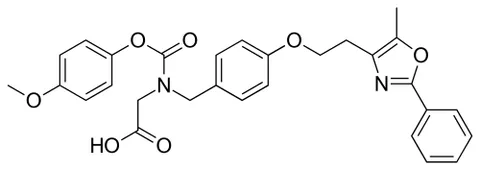 muraglitazar: a peroxisome proliferator-activated receptor agonist