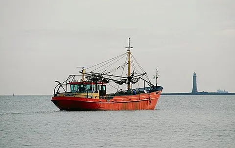mussel boat: a commercial fishing vessel used for harvesting and farming mussels, often seen in major...