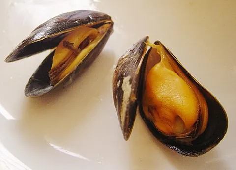 mussel: a saltwater mussel, usually edible, of the order Mytilida in subclass Pteriomorphia