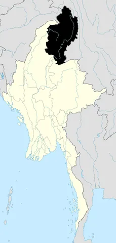 myanmar snub-nosed monkey: rhinopithecus strykeri, a critically threatened species of colobine monkey of northern Burma...