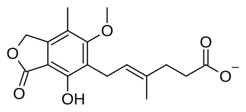 mycophenolate: any salt or ester of mycophenolic acid