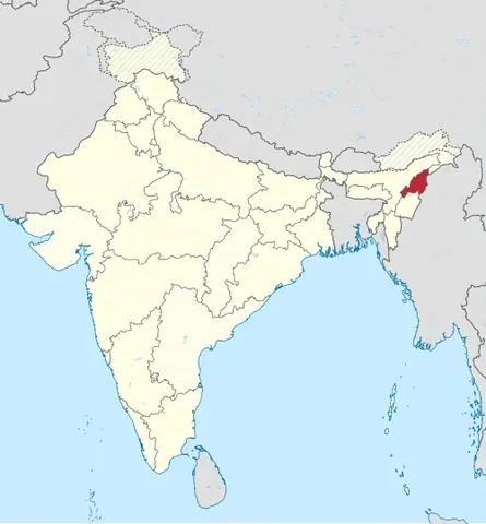 nagaland: a state in northeastern India. Capital: Kohima