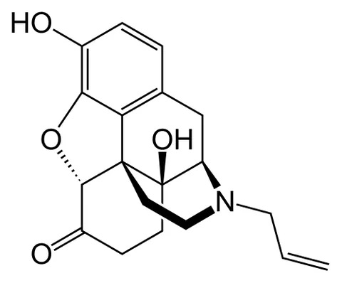 naloxone: an opioid inverse agonist used to counter the effects of an overdose on opioids (such as heroin or...