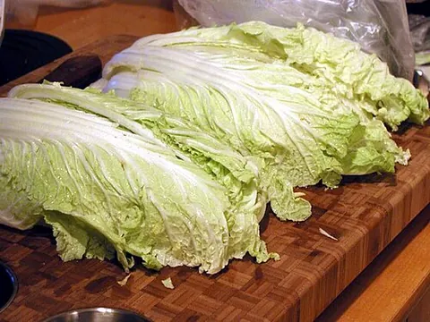 napa cabbage: a species of Chinese cabbage, Brassica rapa subsp. pekinensis, commonly used as an ingredient in...